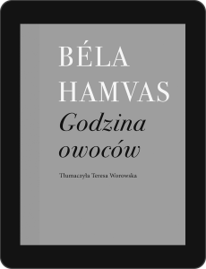 Archai, czyli początki (ebook)